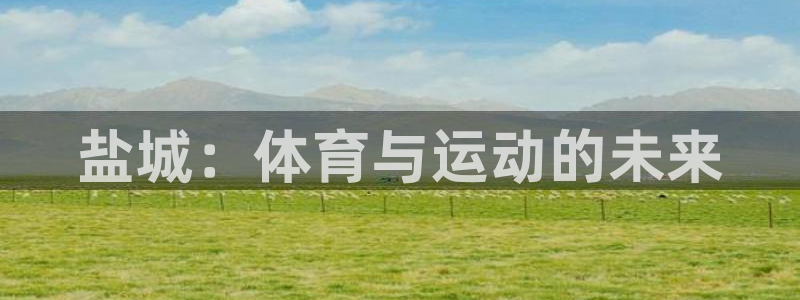风动体育app官方下载：盐城：体育与运动的未来