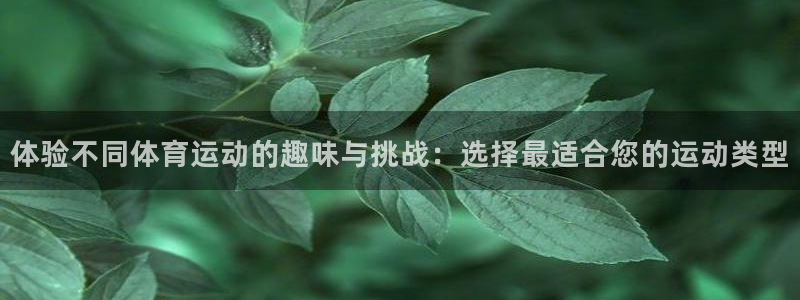 风动体育APP免费下载：体验不同体育运动的趣味与挑战：选择最适合您的运动类型