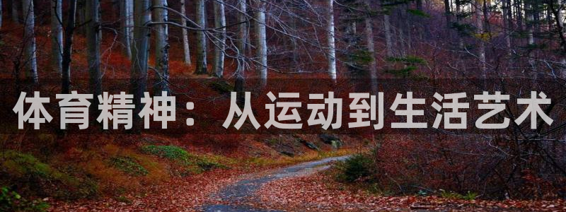 风动体育安卓版下载：体育精神：从运动到生活艺术