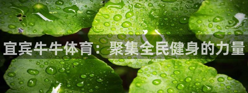 风动体育收费吗：宜宾牛牛体育：聚集全民健身的力量