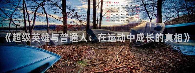 风动体育苹果版在哪下：《超级英雄与普通人：在运动中成长的真相》