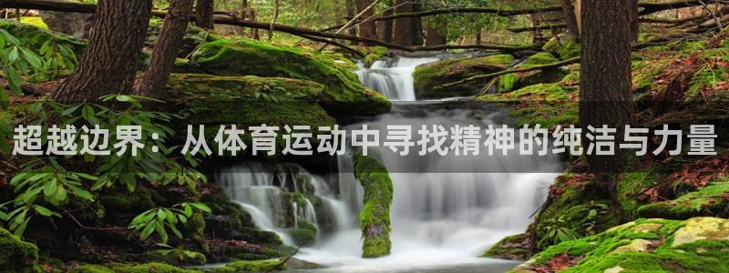 风动体育：超越边界：从体育运动中寻找精神的纯洁与力量
