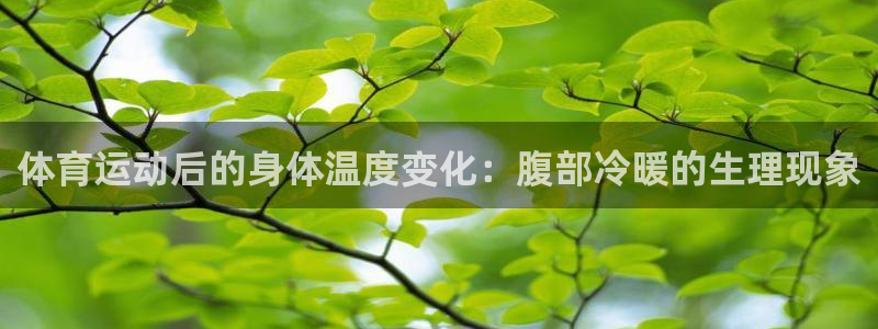 风动体育app官方下载：体育运动后的身体温度变化：腹部冷暖的生理现象