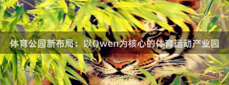 风动体育收费吗：体育公园新布局：以Qwen为核心的体育运动产业园