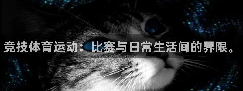 风动体育怎么下载app：竞技体育运动：比赛与日常生活间的界限。