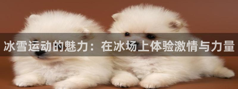 风动体育免费观看入口：冰雪运动的魅力：在冰场上体验激情与力量