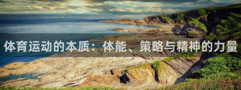 风动体育官网下载：体育运动的本质：体能、策略与精神的力量
